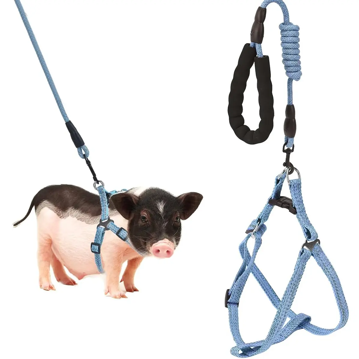 Adjustable Mini Pig Harness & Infinity Leash Set with Foam Carry Handle, for Small-Medium Pet Pig Walking Training, Pet Collars & Harnesses & Leads Supplies