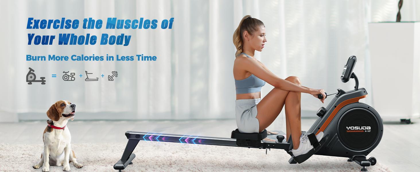 Magnetic/Water Rowing Machine 350 LB Weight Capacity - Foldable Rower for Home Use with Bluetooth, App Supported, Tablet Holder and Comfortable Seat Cushion
