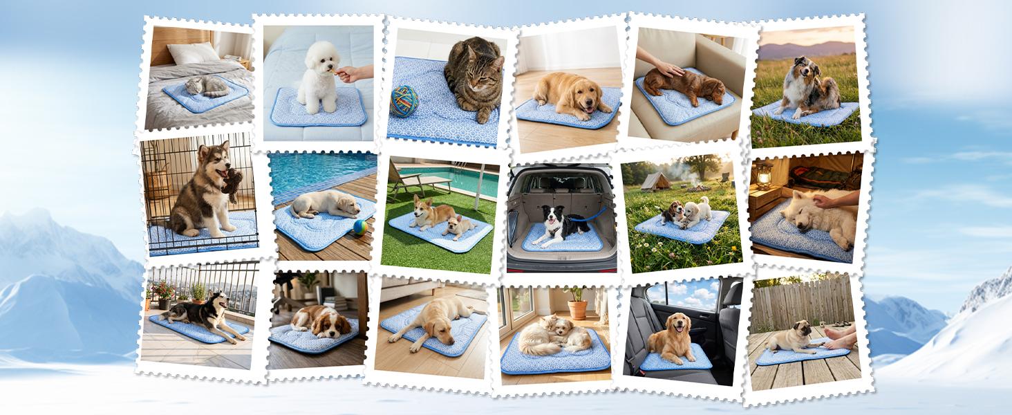 Dog Cooling Mat, Thick Cooling Mat for Extra Large Dogs with PCM & Thermochromic Tech, Dual-Sided Durable Waterproof Cool Dog Bed Mat, Q-Max>0.5, Machine Washable, Non-Toxic - XL(31" x 43")