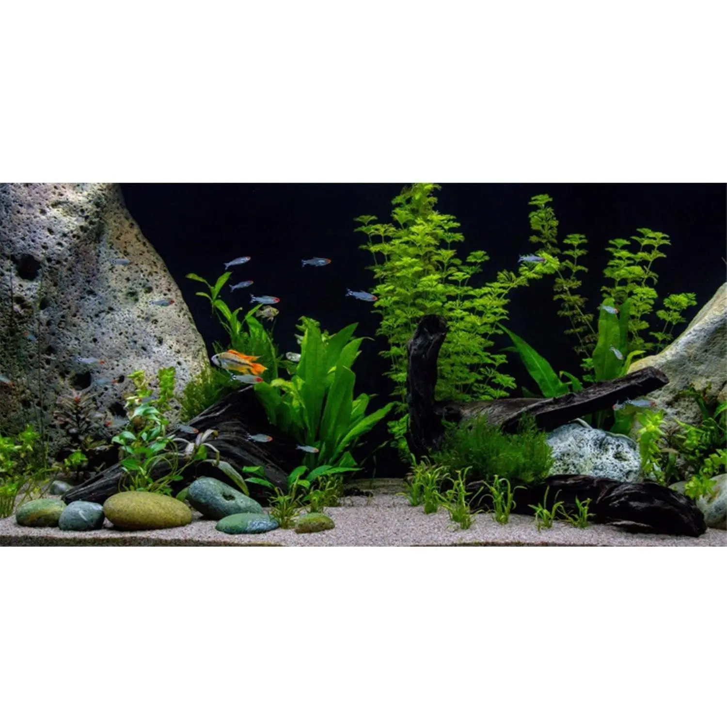 Vibrant Rectangle Fish Tank Background, 48x24 in Thick Vinyl Aquarium Poster, HD Non-Glare Reusable Easy-Install Backdrop for Aquatic Decor, Reptiles, Stone River Bed HD Nature Print