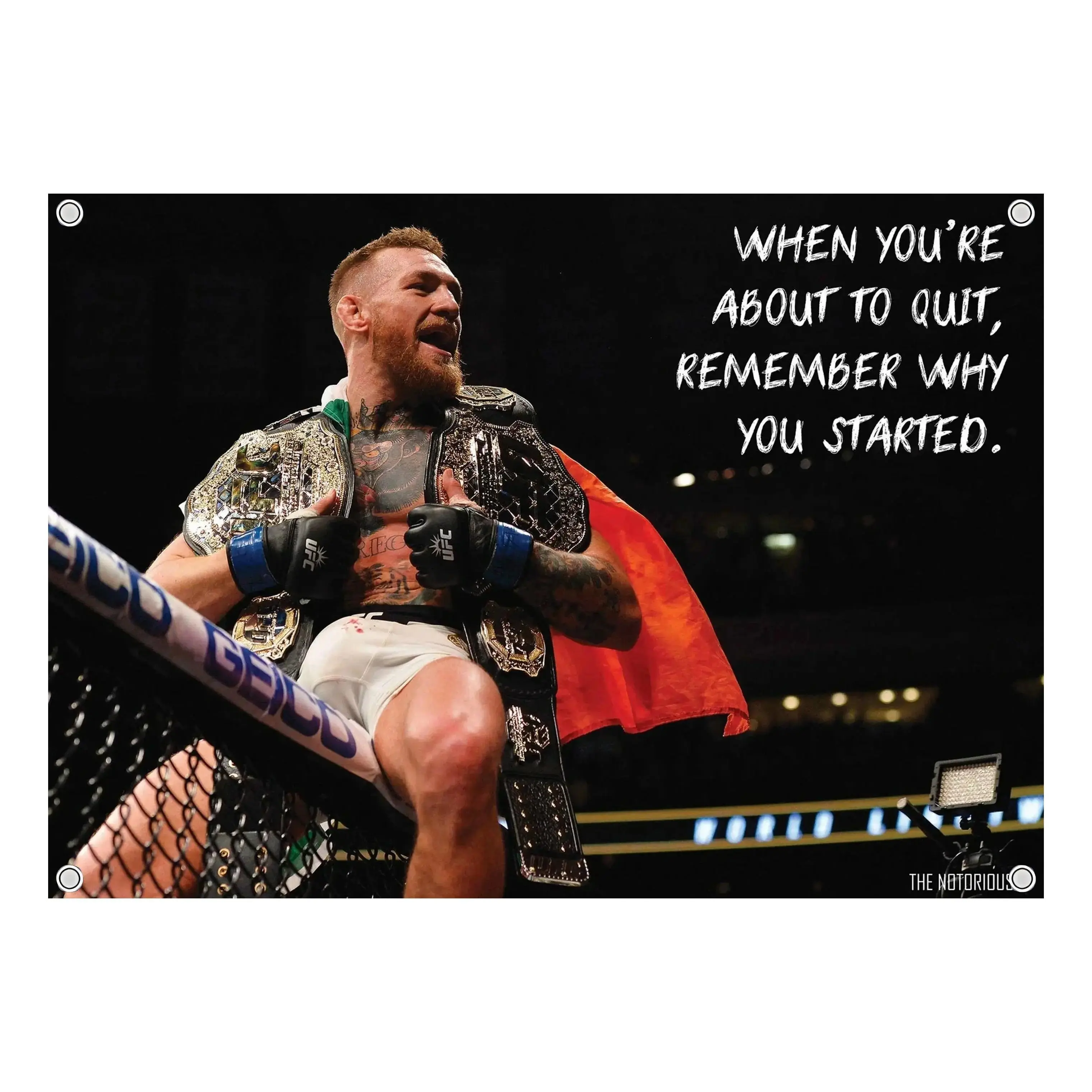 Conor McGregor "The Notorious" Graphic Flag - UFC MMA Flag - Ultimate Fightg Championship Wall Flag Banner, Vtage Fighter Room Decor, Fight Night Bedroom Decor, Gi for MMA Fans Men & Women