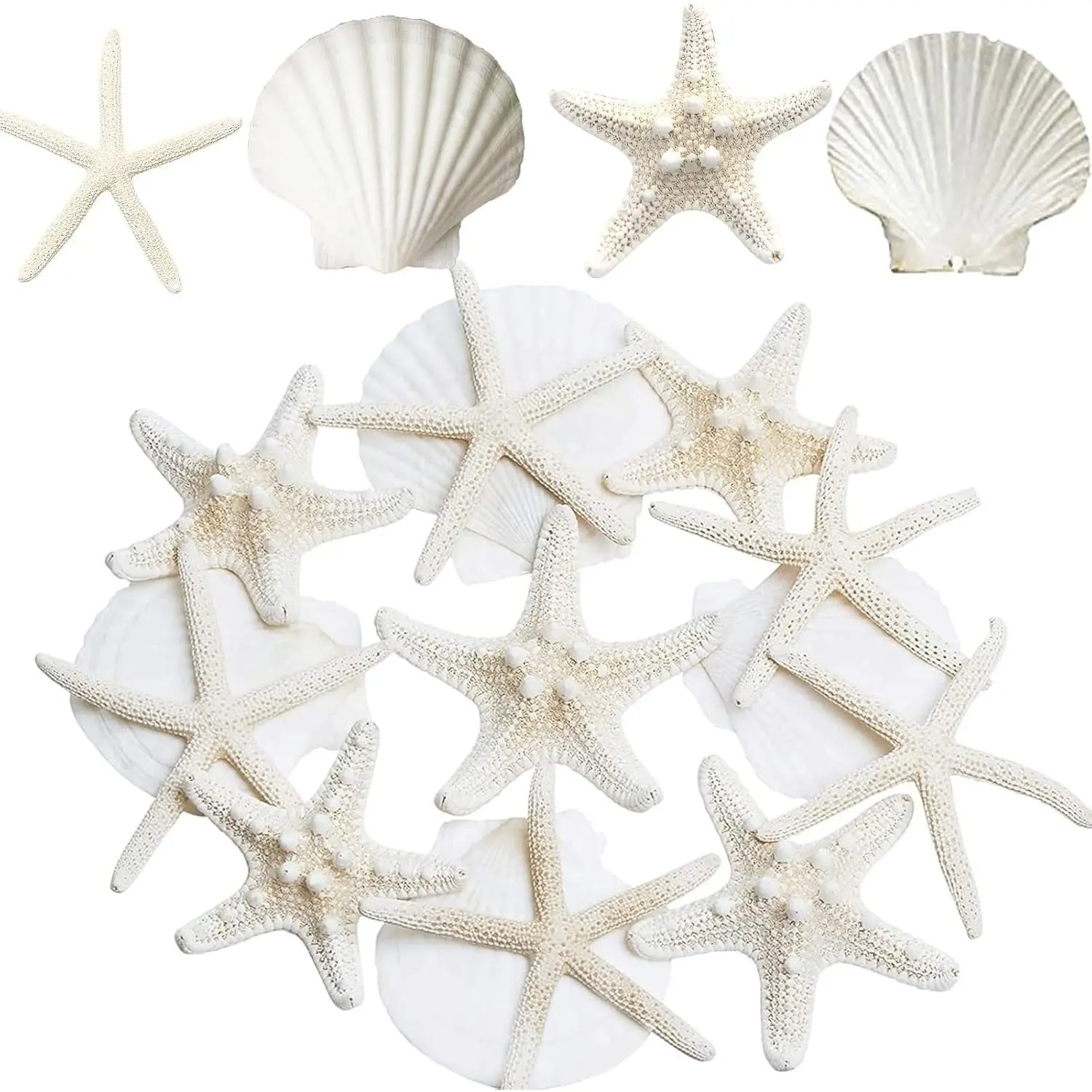 12PCS Large Starfish and Scallop Shells for Crafts 3-4Inch Seashells Natural Sea Shells for Crafting, Baking Shells Perfect for Christmas Decor Beach Party Wedding Fishtank Craft