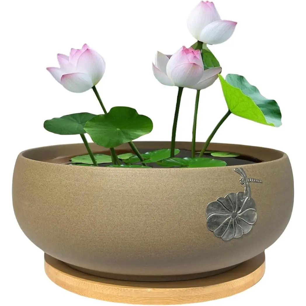 Bowl Planter Pot for Lotus Seeds for Planting in Water, Matte Finish Blue Lotus Flower Bowl Planter Hydroponic  Shallow Fish Bowl 7.8"
