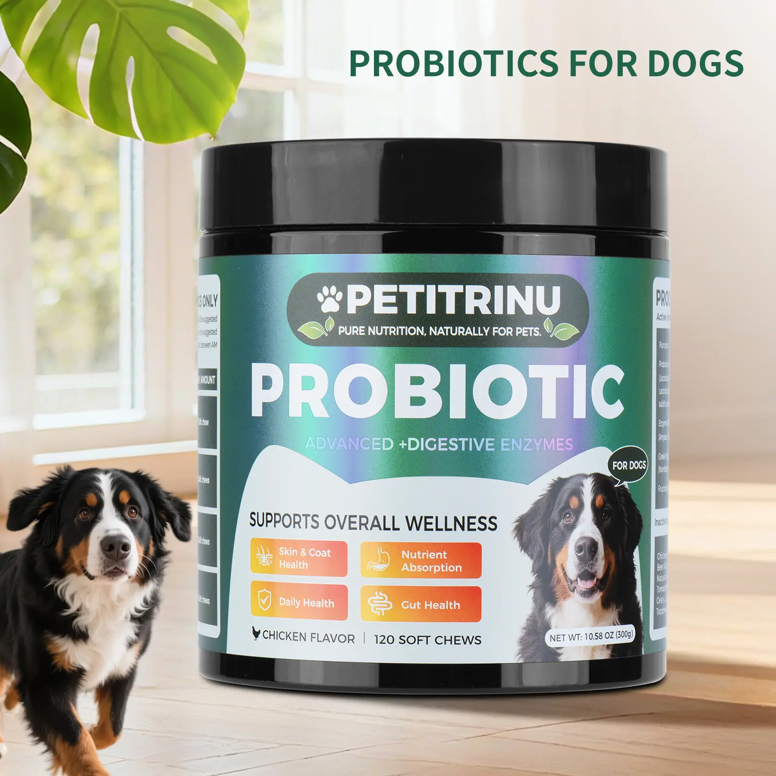 Canine Probiotic Supplement Chews - Natural Chicken Flavor Dog Treats with Digestive Enzymes, 120 Count, Gut Health Digestive Aid, Immunity Support, Skin & Coat Care, Immunity Boost