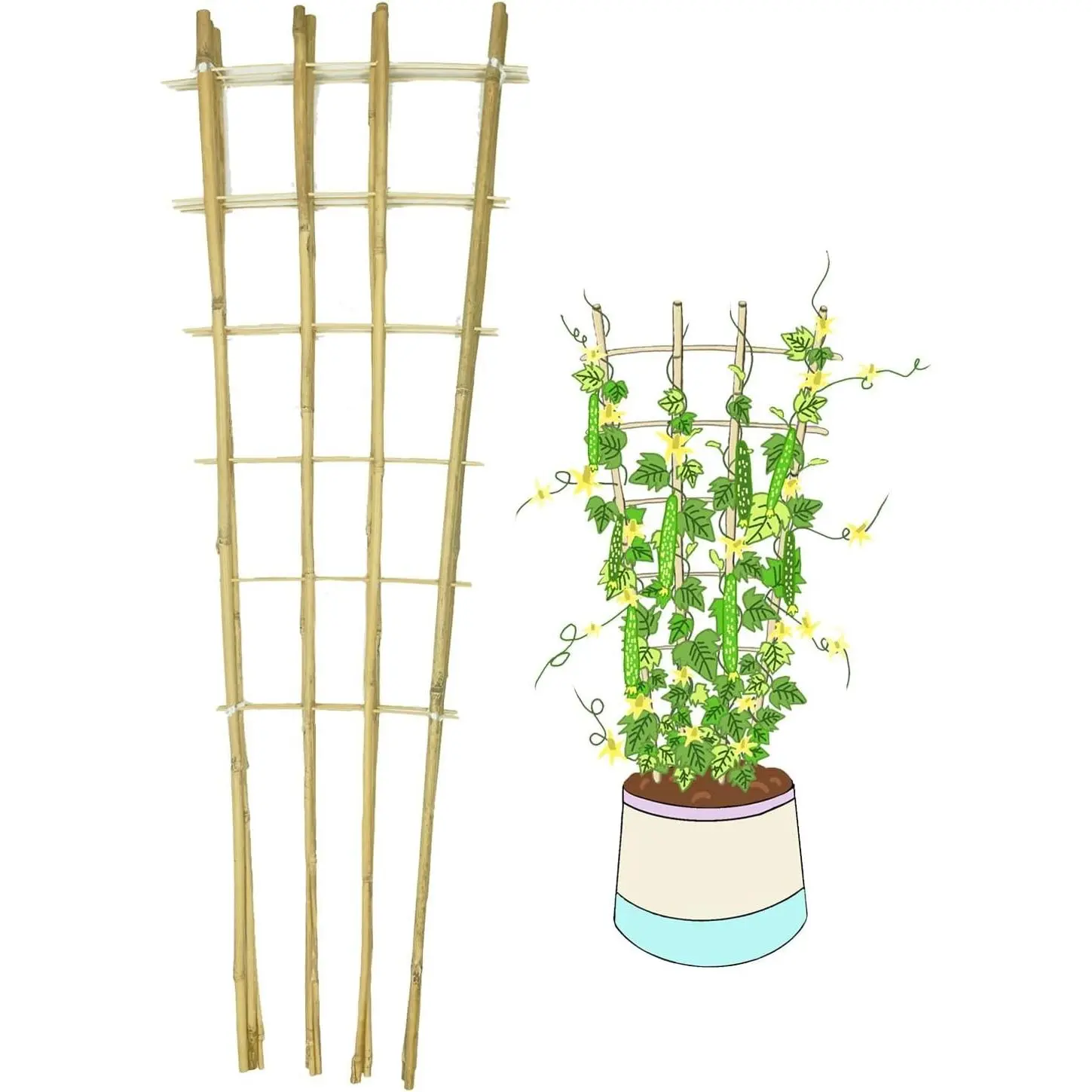 Natural Bamboo Trellis, 4Feet,3Pack,Fan-Shaped Plant Support Trellis for Outdoor and Indoor Potted Climbing Plants,Vegetables, Cucumber, Tomato, Hoya