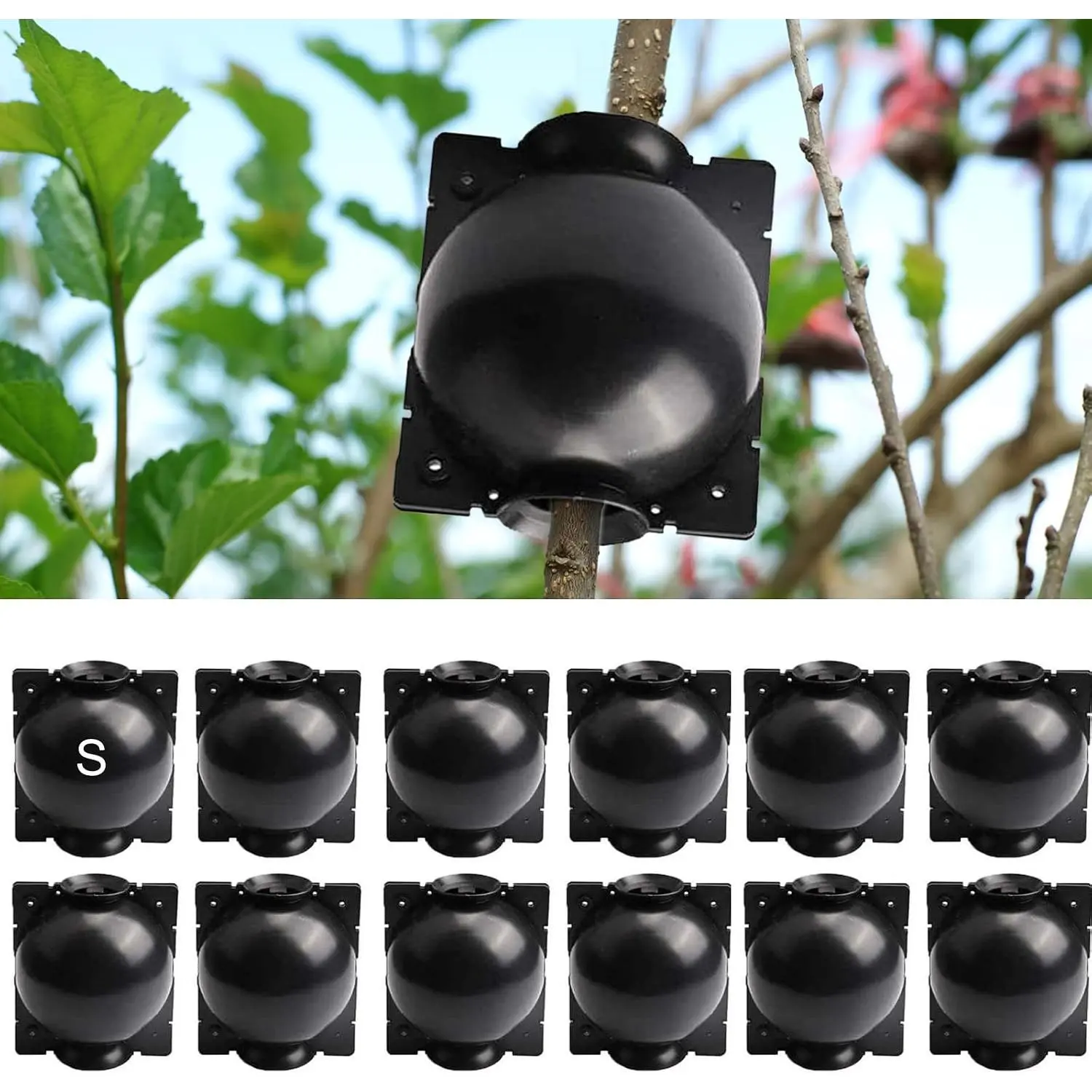 12 count  Root Growing Box,  Air Layering Propagation Kit  Rooting Ball Rooting Ball Grafting Tools,  Rooting Grafting Box for  Propagation , Small