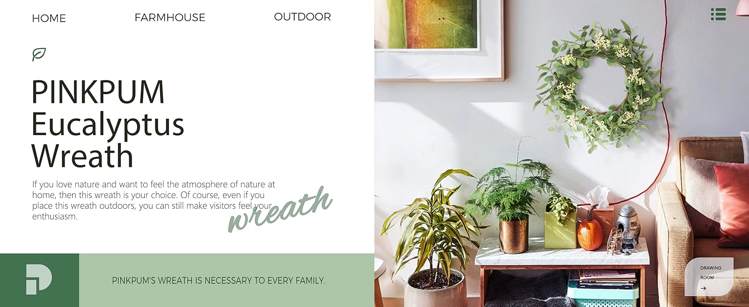 Pinkpum 2 Pack Wreaths for Front Door 20'' Christmas Eucalyptus Wreath, Spring Summer Door Green Wreath for Home Porch Window Wall Farmhouse Home Decor Indoor Outdoor Summer All Seasons