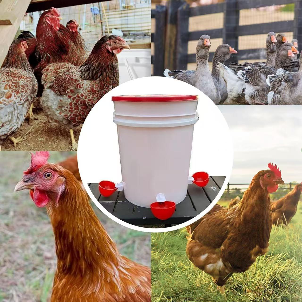 Automatic Chicken Waterer Cup, Easy Install Poultry Feeder for Hen House Farming, Durable PP Material for Chickens Ducks Birds