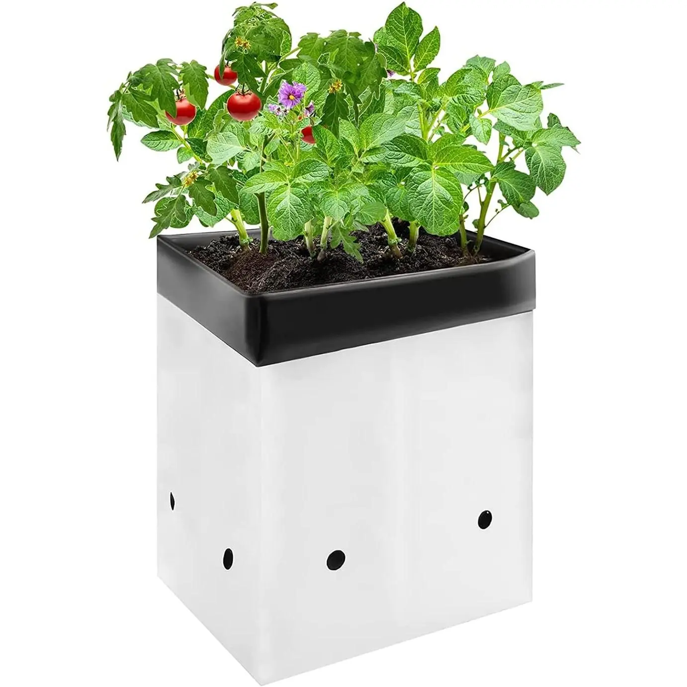 50-Pack 3 Gallon Grow Bags for , Black-and-White Thick Plastic Bags for Potting Seedlings, and Rooting