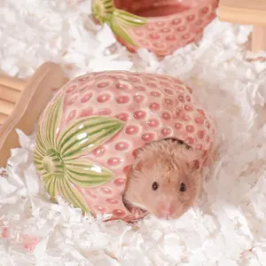 Ceramic Strawberry Hamster Hideout House Habitat Cool All Season Bed Decor for Syrian Hamster Gerbil Mice Guinea Pig