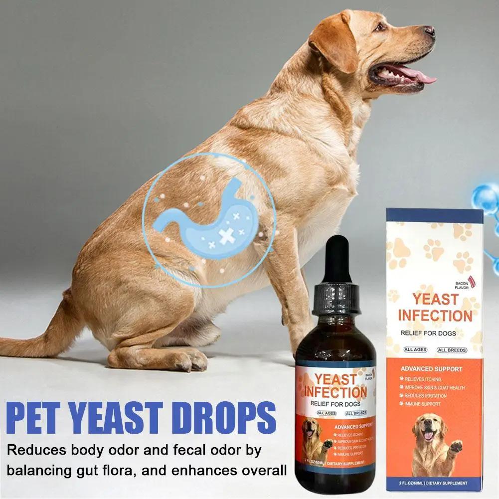 Pet Yeast Drops - Regulate Digestive System, Improve Diarrhea And Constipation, And Enhance Skin And Hair Health