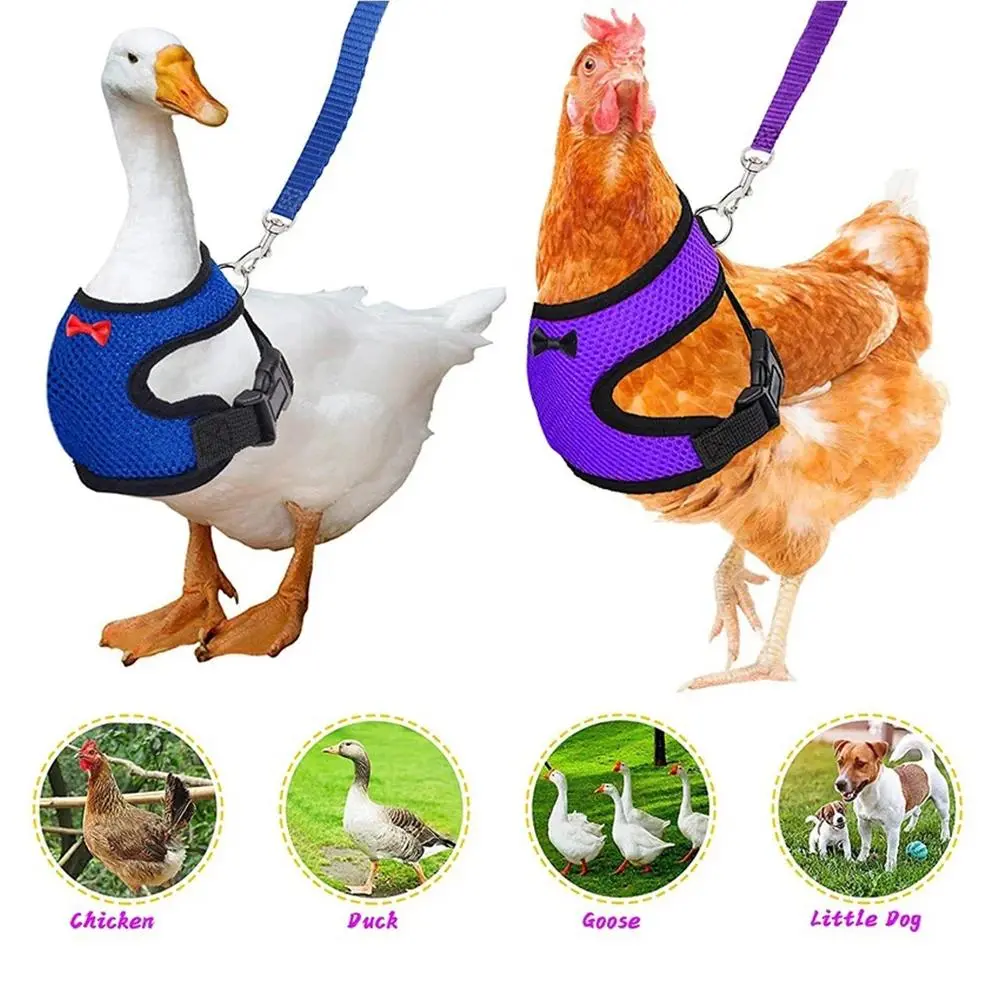 Small Adjustable Chicken Duck Harness Leash Set - Comfortable, Breathable Pet Vest with Sturdy Buckle for Poultry Training, Improves Walking Performance