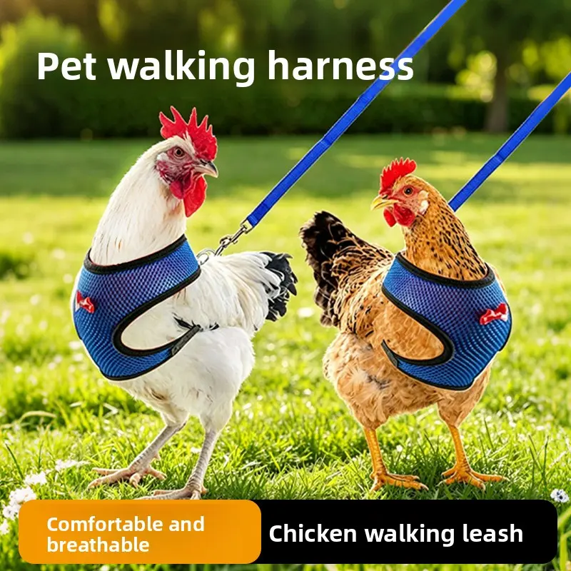 Chicken Walking Leash, Pet Outdoor Harness, Breathable Poultry Training Vest Harness for Rooster Walking