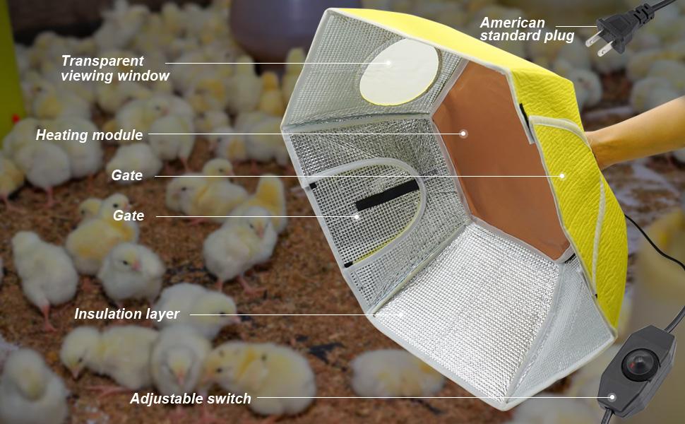 Large Chick Brooder Heating Plate Chick Brooder Box 21.6" Heat Up To 50 Chicks, Chick Warmer Chicken Coop Heater Poultry Brooder For Chick Duckling Quail Goose Bird Hatchling