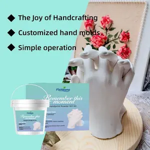 Hand Model Clone Powder DIY Kit, 3D Hand Model Making Material Pack, Creative Memorial Gift, Fun Craft Set for Kids & Adults