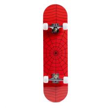 Skateboard for Beginners, Standard Complete Skateboard 31 Inch Double Kick Concave Deck with 7 Layer Maple Wood, Smooth Wheels & Bearings