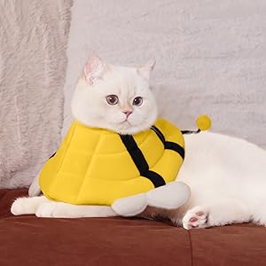 MITTENS Soft Cat Cone, Adjustable Cat Recovery Collar, Elizabethan Collar for Cats