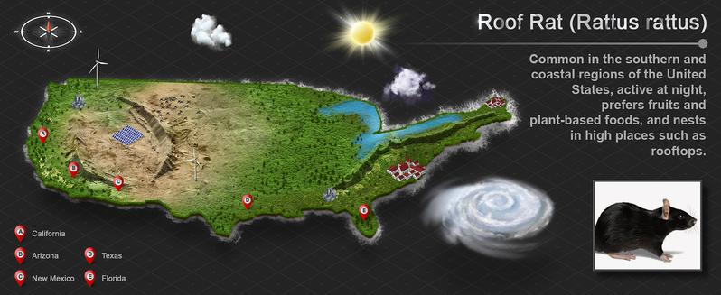 Humane Trap Live Mouse Trap Indoor Catch and Release Animal Cage Multi Large Bait Outdoor Reusable Chipmunk Mice Voles Rodent That Work (1)