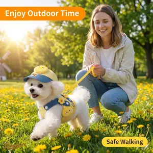 Pet Three-In-One Harness Set: Chest Strap + Leash + Hat, Comfortable and Safe, Multiple Cute for Pets!