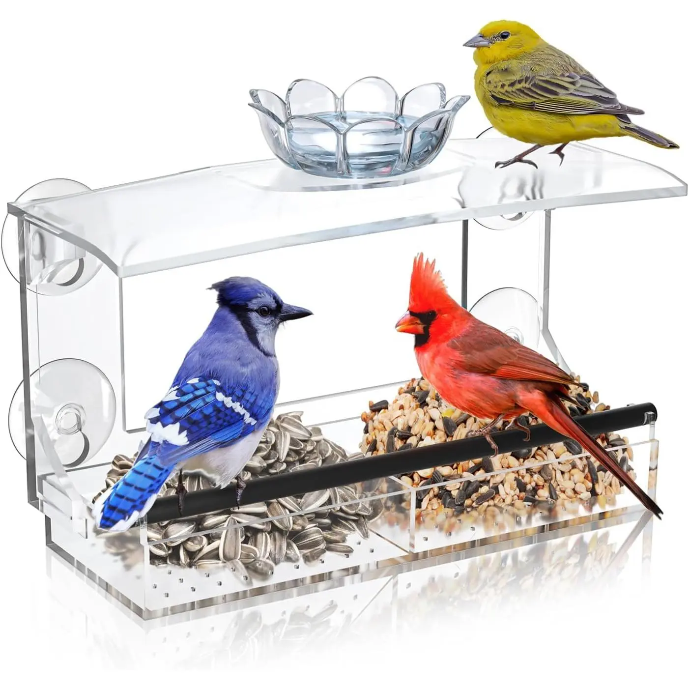 Clear Window Bird Feeder for Outdoors with  Suction Cups, Removable Seed Tray --  Transparent Birdhouse for Viewing  Birds, Ideal Outside Gardening Gifts