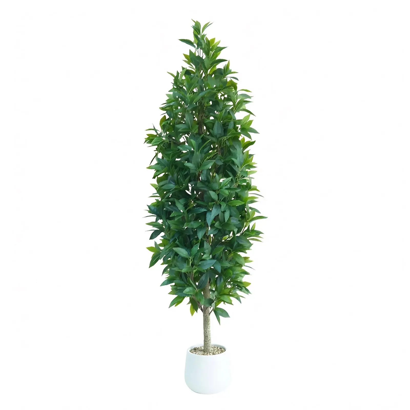 Artificial Bay Laurel Tree – Pencil Shape Faux Indoor Plant with Silk Leaves – Modern Decorative Greenery