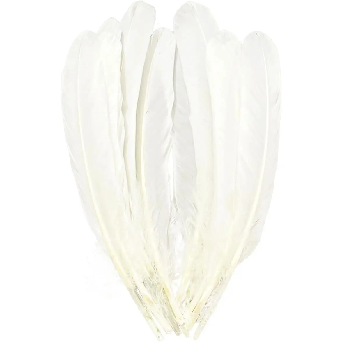 Natural Big Long Goose Feather, 8-10 Inches (20-25cm), Large Size Bilateral Left and Right Wing Feathers for Crafts, Bulk 12pcs (Natural White)