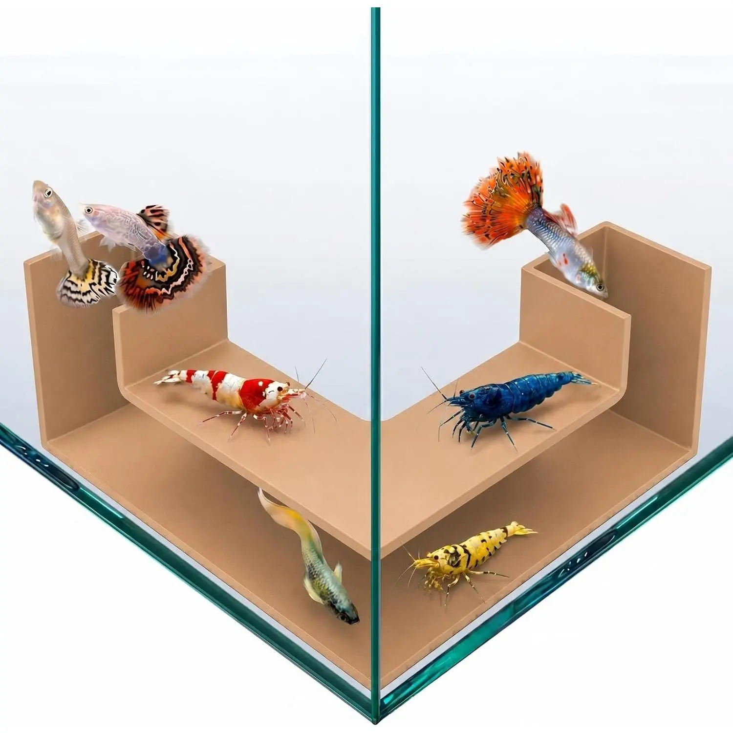 Aquarium Underground Tunnel 5", Clear Viewing Fish Tank Cave, Dual-Entrance Shrimp Hideout, Substrate Buried Decor for Betta, Loaches, Corydoras, Smooth ABS