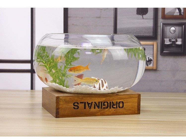 Creative Round Transparent Glass Aquarium Tank - Hydroponics Compact 20*10cm, Easy Access for Fish, Home Decor for Office Desks, Options: 20 Drum Cylinders+6-Piece Colored Stones Set, 30 Drum Cylinders+Colored Stones+Fish Food Set, Turtle