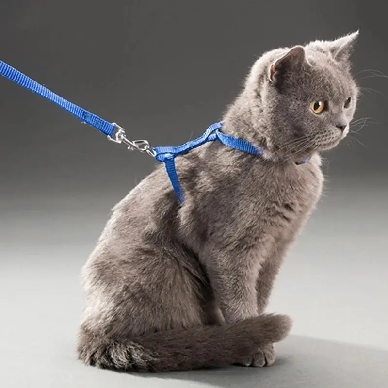 Adjustable Nylon Harness with Leash Set for Small Animals, Rabbit & Cat Outdoor Walking Pet Accessory