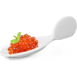 20Pcs Porcelain Tasting Spoons,Fish Shaped Caviar Sample Spoons for Tasting 3.9 x 1.6 x 1.2 inches Fish Shape Appetizer Plates,Dishwasher Safety,for Restaurant,Birthday Wedding Party,Cakes,Dessert