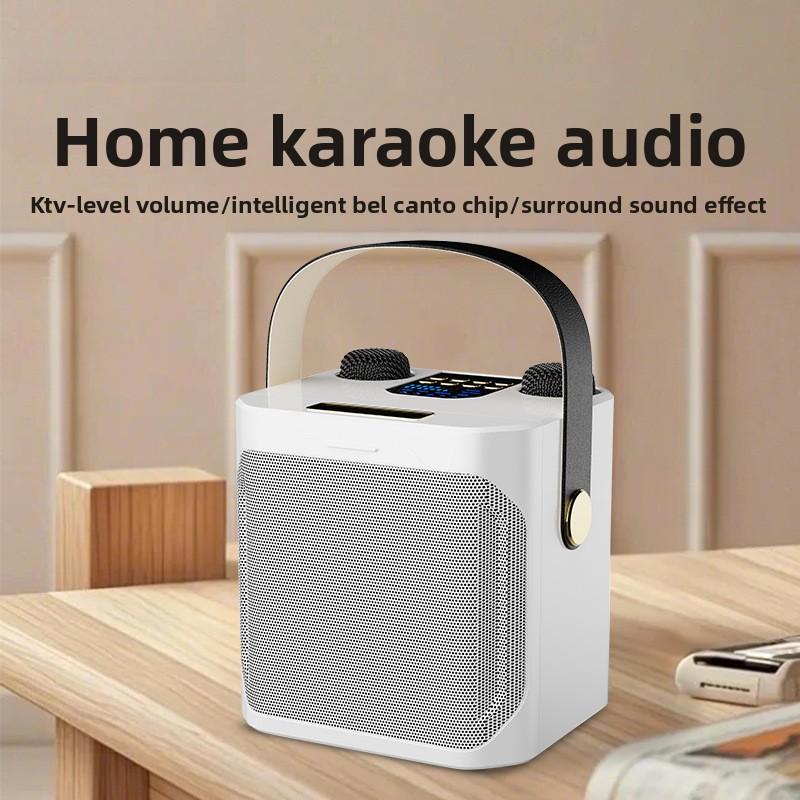 Portable Bluetooth Speaker for Home Karaoke & Outdoor Use Mini Home Theater with Deep Bass HiFi Sound