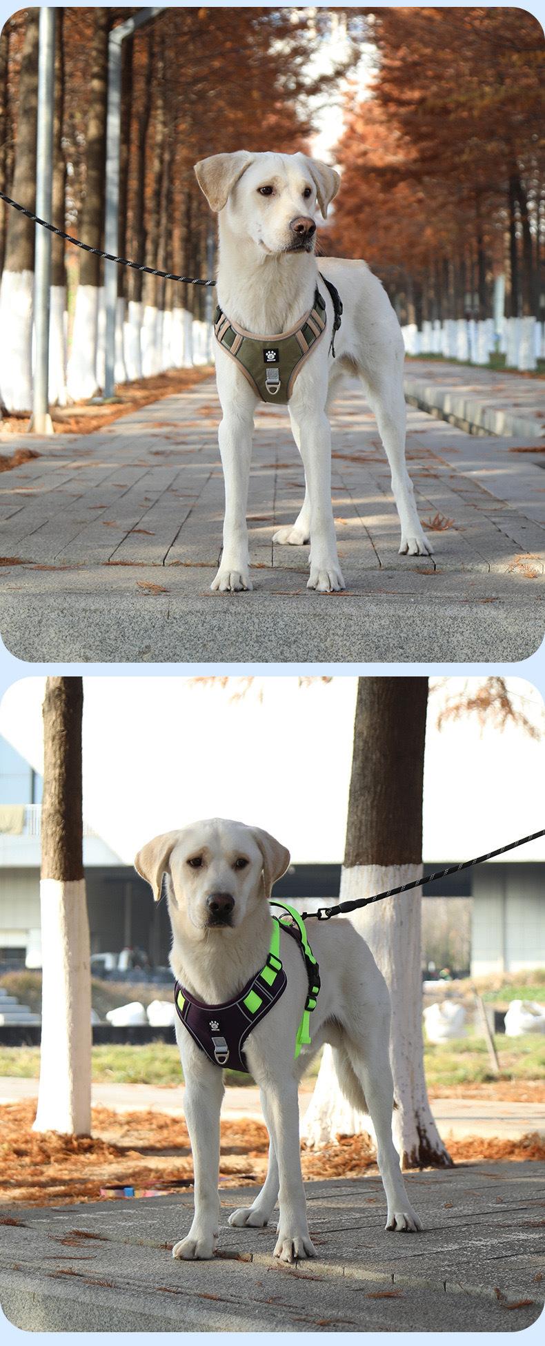 Cross-border large dog leash, anti-shock dog harness, reflective dog walking leash, vest-style collar for medium and large dogs