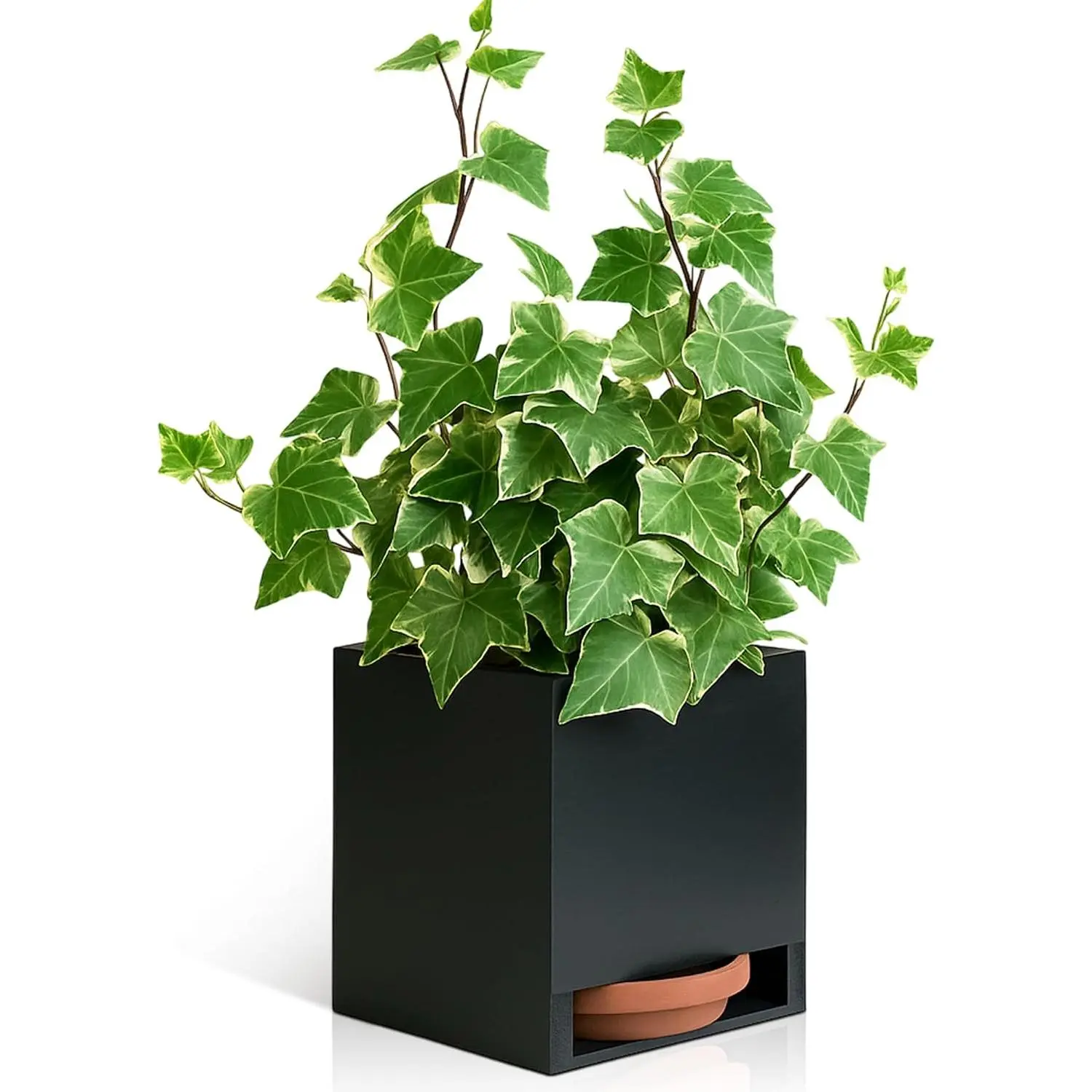 VertiPot Planter Box (2 Pack) 5"x4" x5" for Vertical Window Sills.  in Water Catch and Plastic Liner | Multiple Colors | Small Apartment  Decor | Black Color