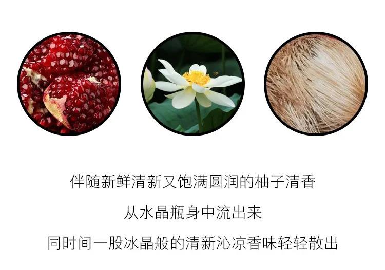 Long Lasting Fragrance for Women Men 50ml Eau De Parfum Classic Fresh Scent Daily Use Perfume High Quality Fast Shipping