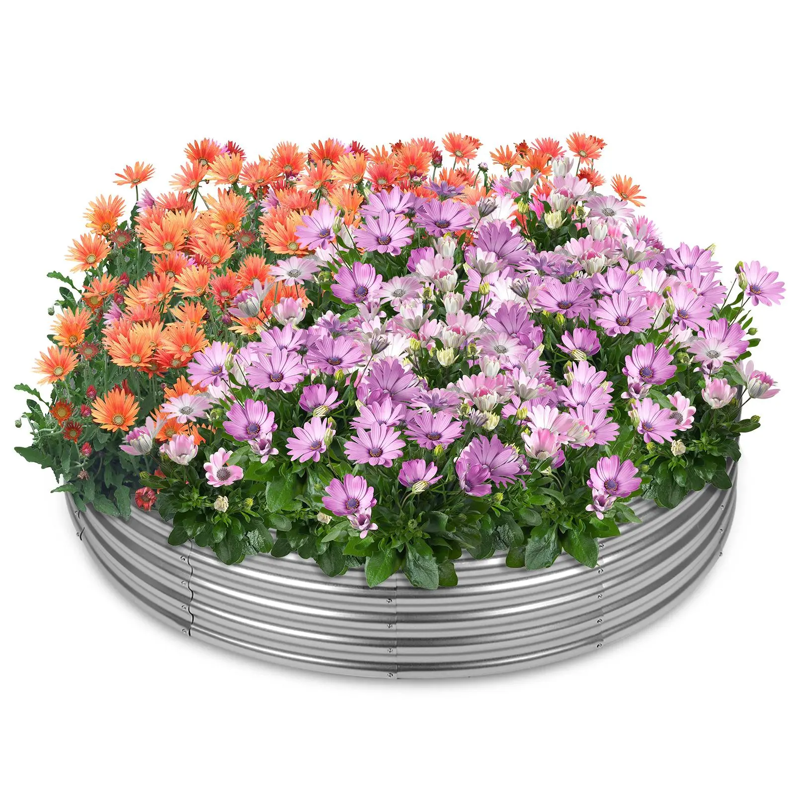 Galvanized Round Raised Garden Bed - Low Maintenance Metal Planting Box, Decorative Planter for Outdoor Pots for Plants, Planters for Outside, Vegetable Garden Boxes, Patio Planters