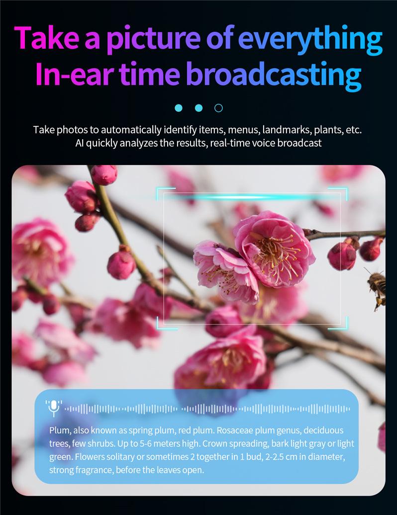 JS-01 Pro Smart Glasses Bluetooth Call Camera Video Recording with Black Tech Notification Wholesale