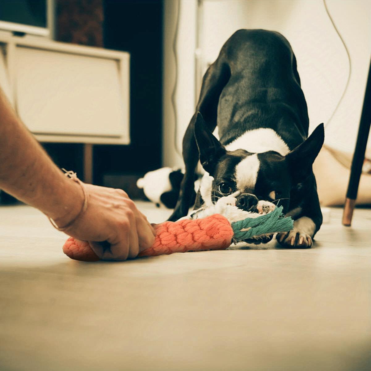 Bite-Resistant Carrot-Shaped Dog Toy with Rope Knot - Durable Interactive Chew Toy for Medium-Sized Dogs, Teeth Cleaning & Tug-of-War Play, Fun Fetch Toy for Aggressive Chewers surprise gift harness Bungee Inflatable Balls Set