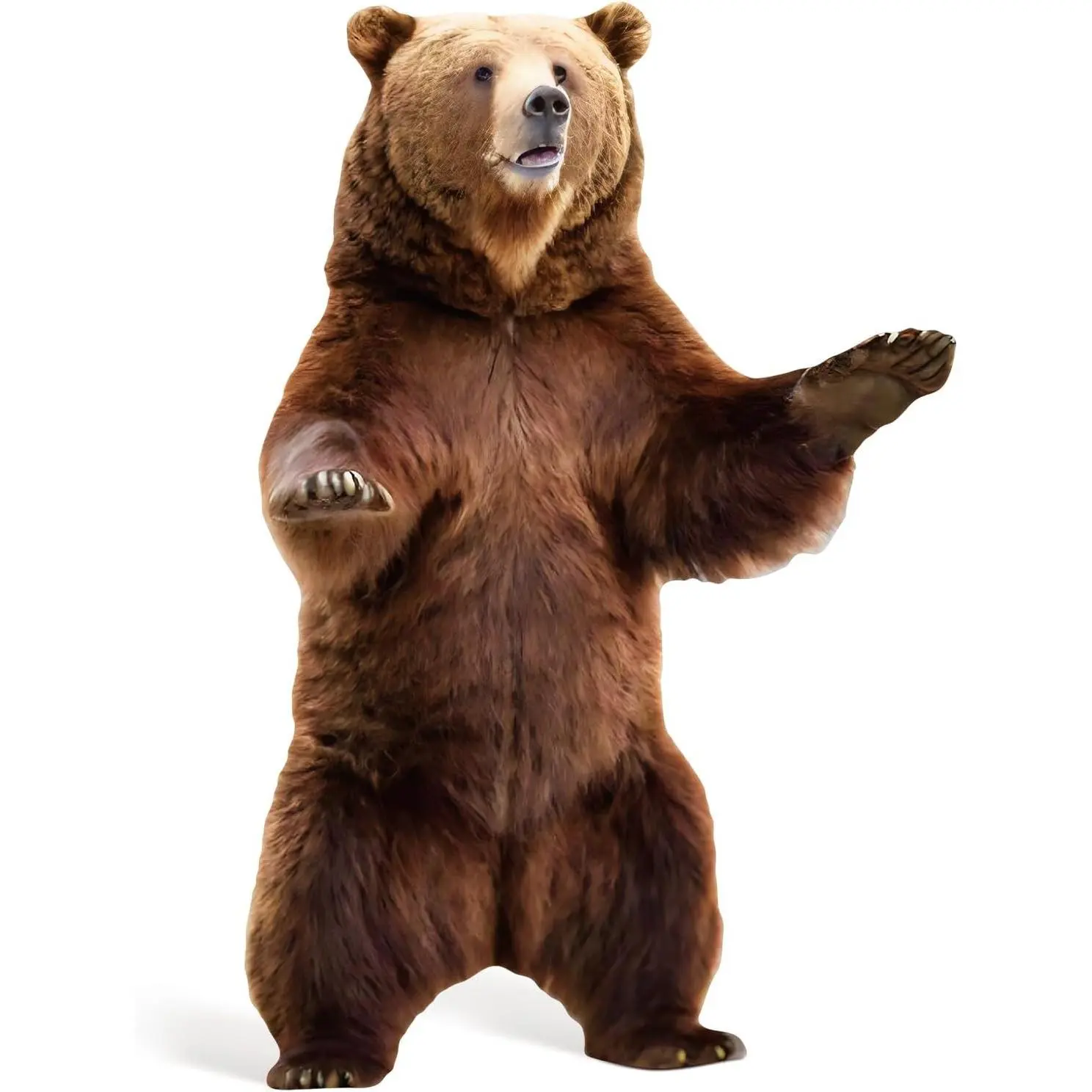 4FT Brown Bear Cardboard Cutout Life-Size Animal Cutout Realistic Forest Wildlife Photo Booth Prop Decor for Parties, Zoo-Themed Events, Classrooms, Birthday Decoration Supplies 30.91" x 47.24"