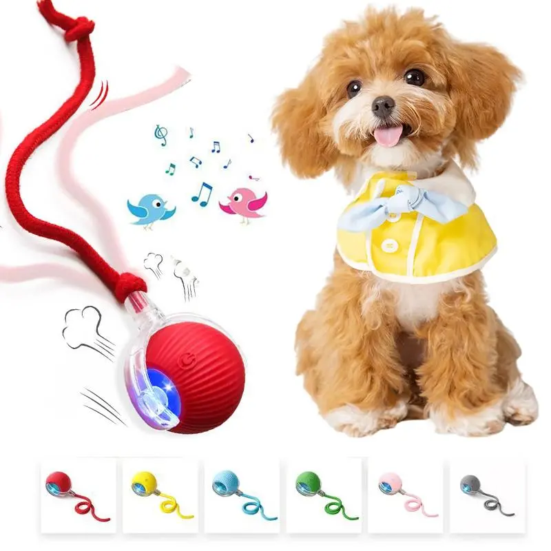USB Rechargeable Interactive Toy for Cats & Dogs, Bird Chirping Sound, Anti-Depression Rug-Use Pet Gift, All Seasons Fun Accessory