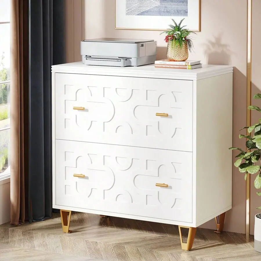 2-Drawer Lateral File Cabinet Legal/Letter/A4 Size, Modern Filing Cabinet Home Office, Large Storage Filing Cabinet Printer Stand