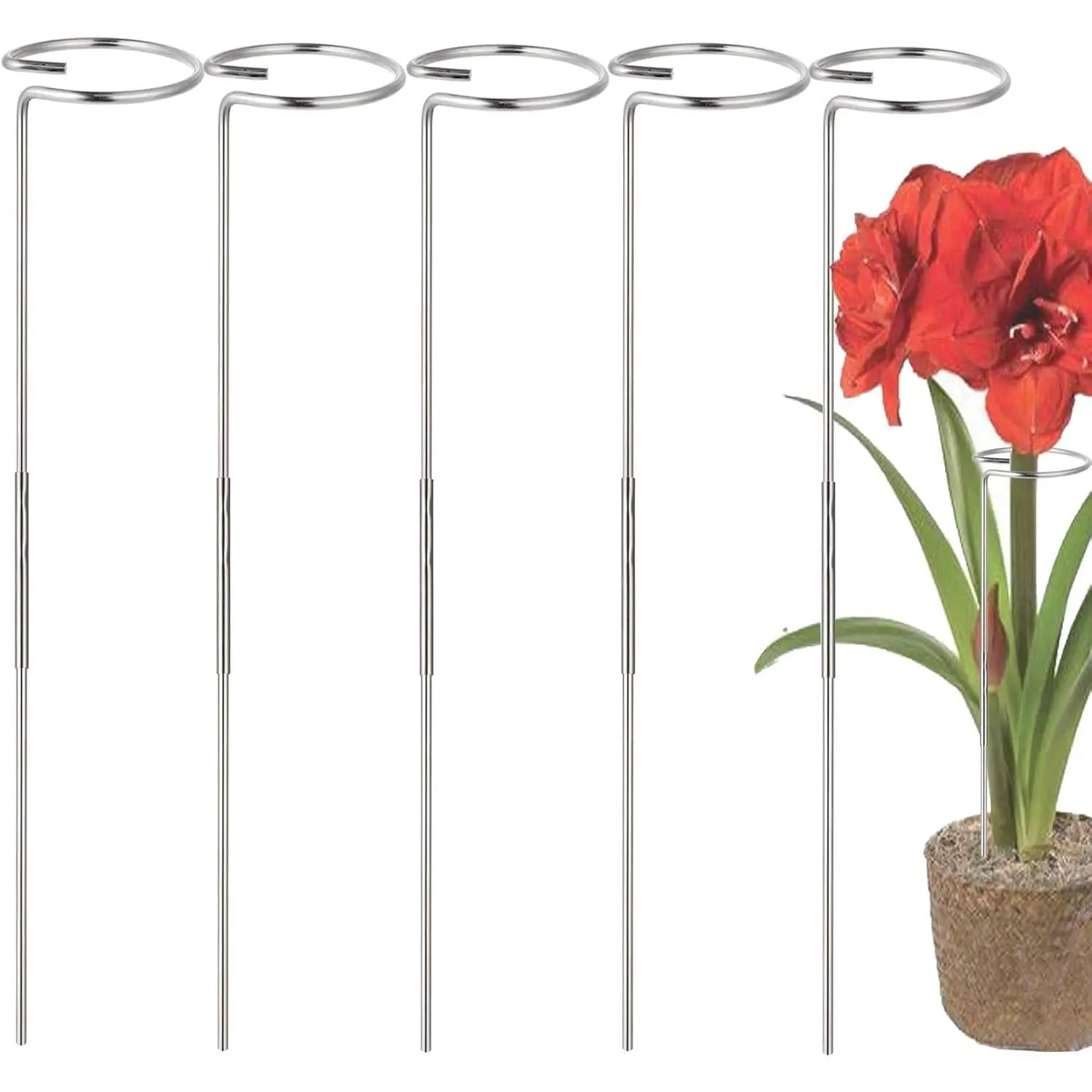 30 Inch Or 16 InchPlant Stakes  - 5 Pack, Adjustable Height | Stainless Steel Garden Tall Single Stem Support Stake  Cage Support Rings Fit ,