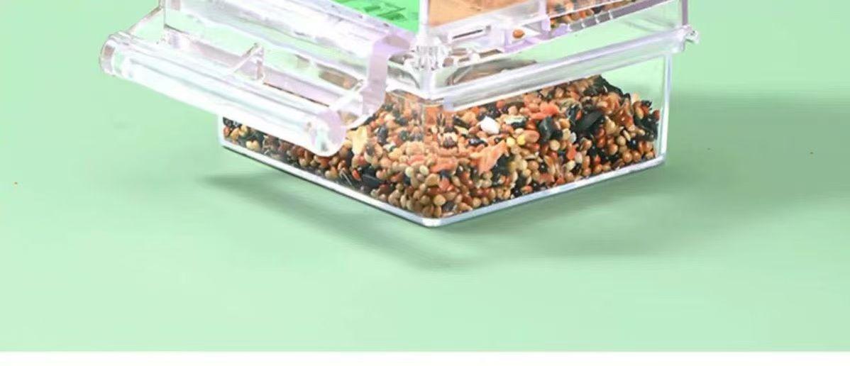 New Model Automatic Bird Feeder - Spill-Proof, Splash-Proof, and Transparent Dispenser for Cockatiels, Budgies, and Lovebirds