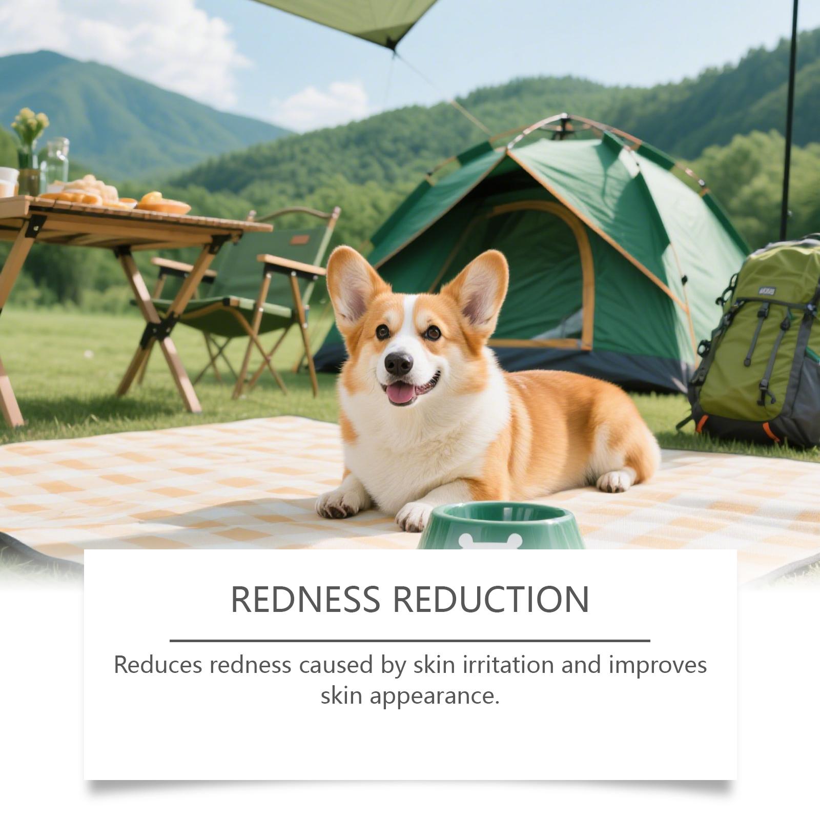 Yegbong Pet Skin Spray with Colloidal Silver & Centella Asiatica for Itchy Skin Relief and Wound Care 100ml