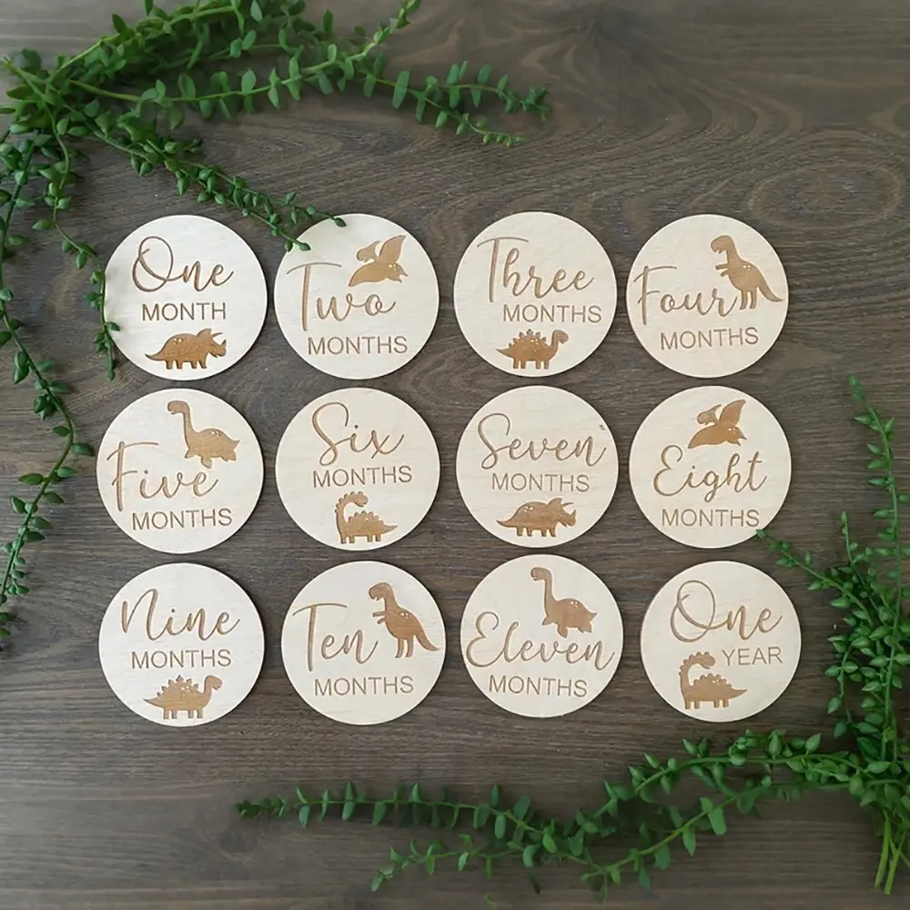 Dinosaur themed Hello World 1-12 Month Monthly Milestone Disc Baby Shower boy girl Gender Reveal New Mom parents Gift Newborn 1st First Year Photo Set Photo Prop Birth Announcement Card