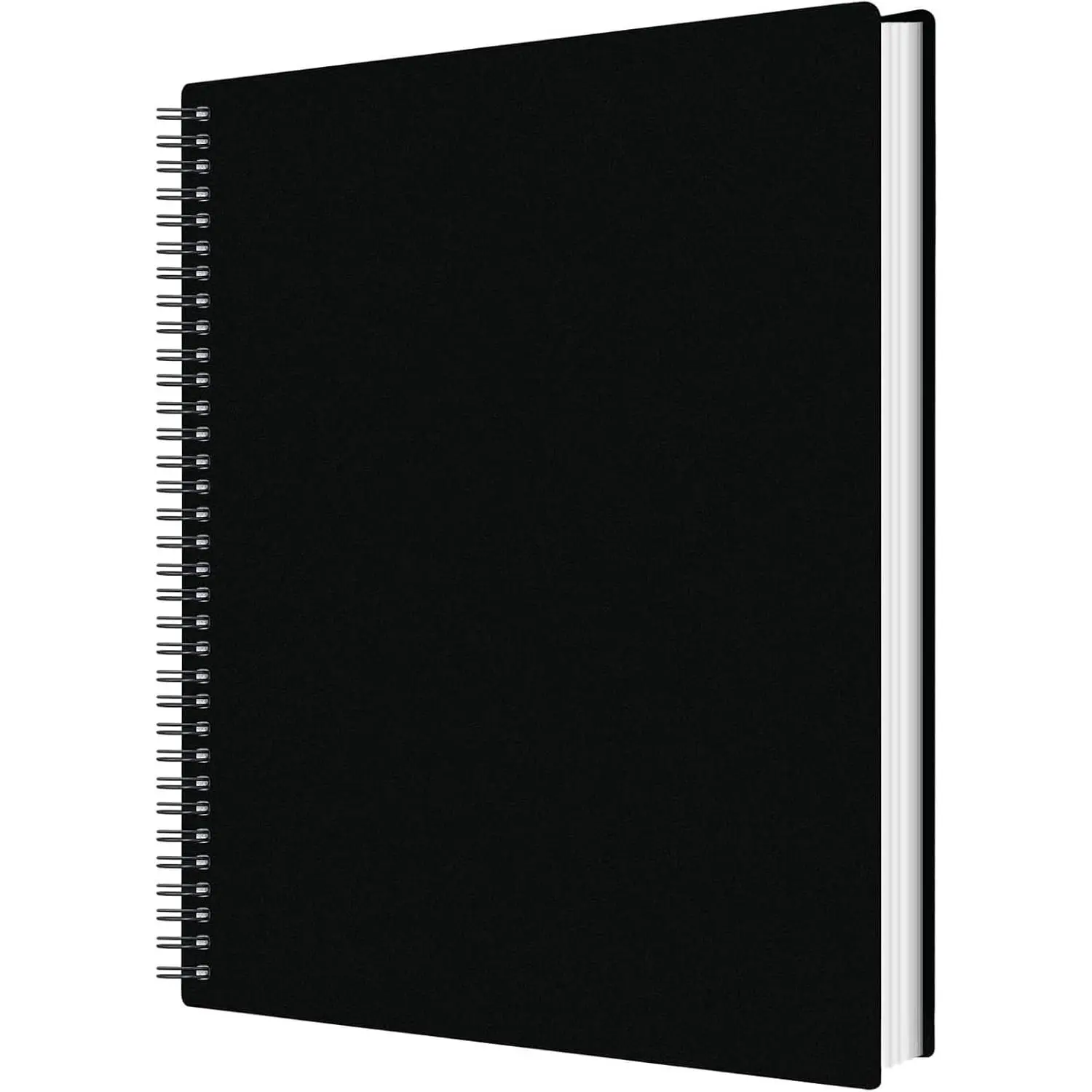 50-Pocket PP Material Portfolio Binder with Plastic Sleeves, 360° Rotation Presentation Book with 100 Pages for Artwork, Documents (Office Desk Organizer File Folder)