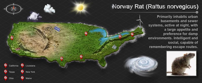 Humane Trap Live Mouse Trap Indoor Catch and Release Animal Cage Multi Large Bait Outdoor Reusable Chipmunk Mice Voles Rodent That Work (1)