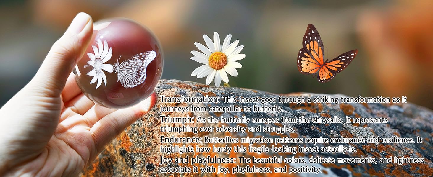 3D Butterfly Crystal Ball 60mm Gifts Ideas for Girlfriend Wife Mom Couple Her Butterfly on Sunflower in Glass Ball with Stand Butterfly Sphere Novelty Home Decor Ornaments Interior Decoration Accessories Modern Home Decoration Art Figurine
