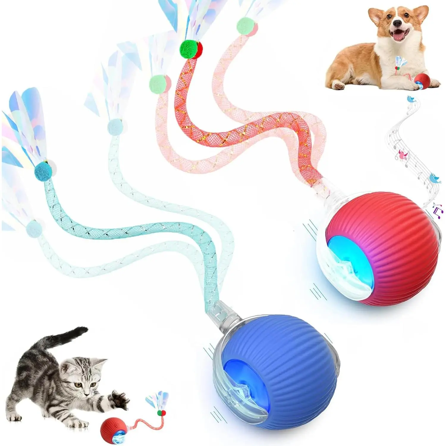 Mizusu Interactive Cat-Dog Teaser Toy with 2 Additional Tails, No Small Kitten Rolling Ball Toy, Pet Supplies, Dog & Cat Accessories