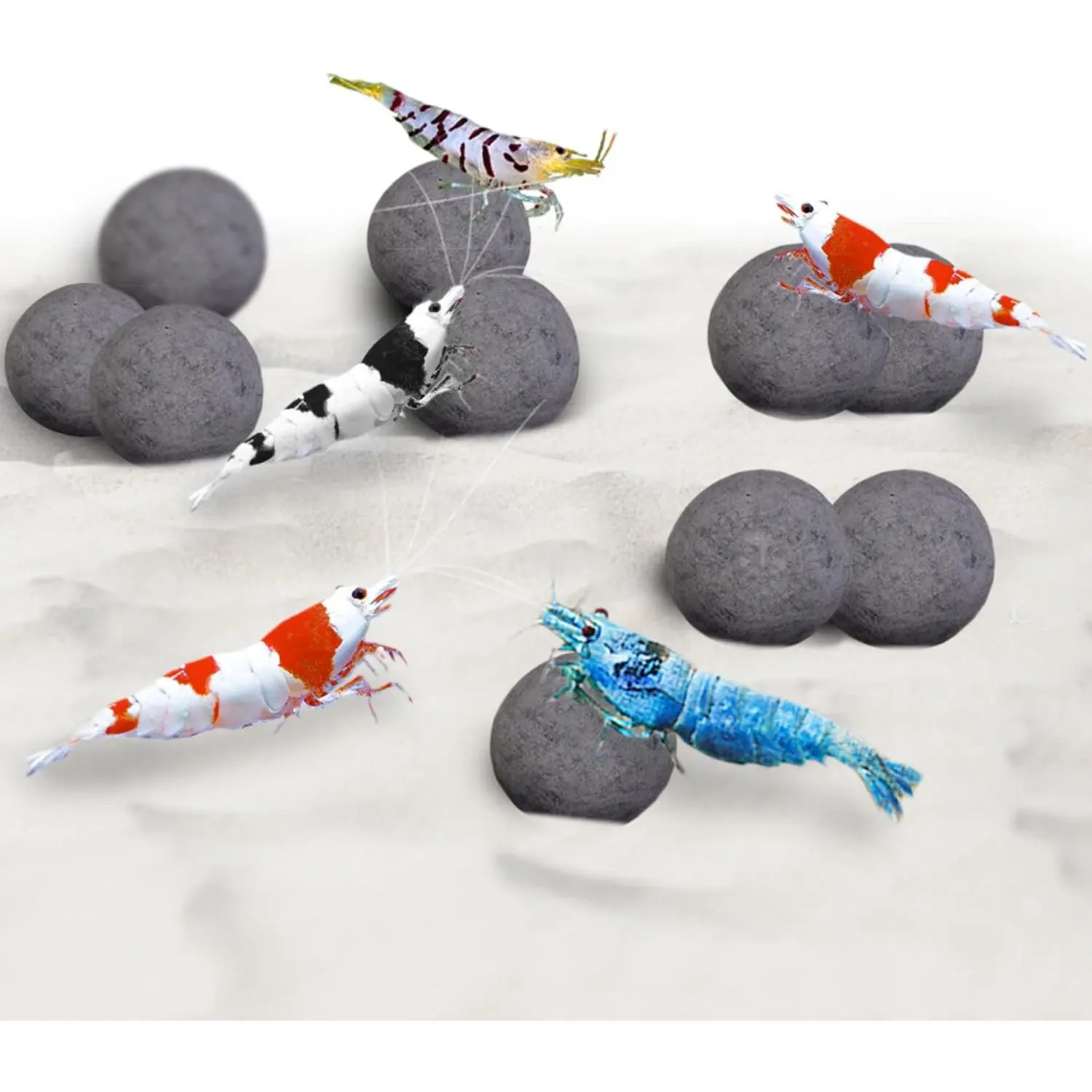 Shrimp Balls, Aquarium Water Conditioner Balls, Successful Shedding, Increase  Rate, Impart Vibrance, Cool Décor with  Benefits