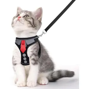 Escape Proof Cat Harness and Leash Set for Walking, Adjustable Soft Vest Harness, Breathable Kitten Harness with Reflective Strips for Small Cats